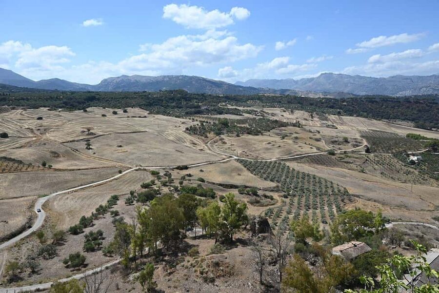 From Malaga: Ronda y Setenil de la Bodegas Day Trip by coach - At a glance