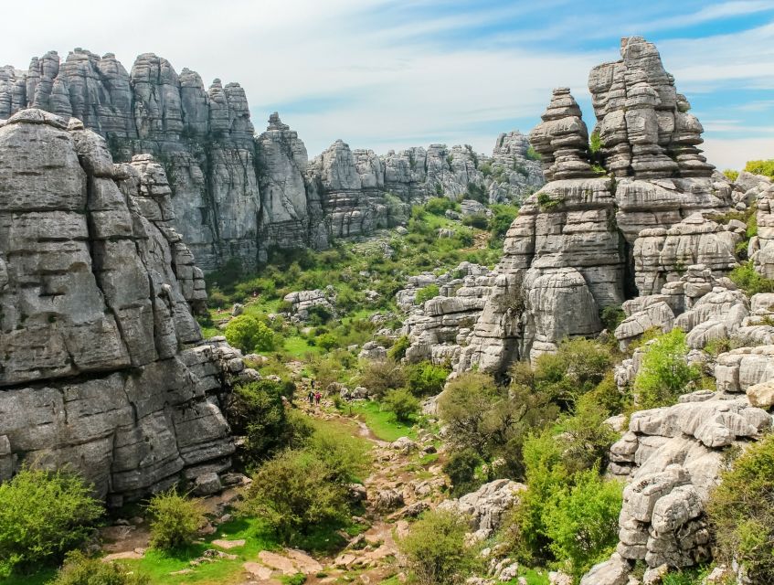 From Malaga: Torcal de Antequera Hiking Tour - Viewpoints, fossils, and possible wildlife