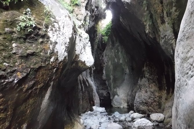 From Marbella: Canyoning Tour in Guadalmina Canyon - Who will get the most from this canyon trip?