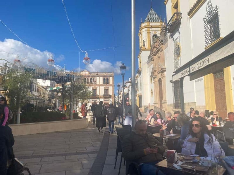 from Marbella, Estepona:Private tour Ronda incl. transfer,bullring,tapas - The mountain drive sets the tone