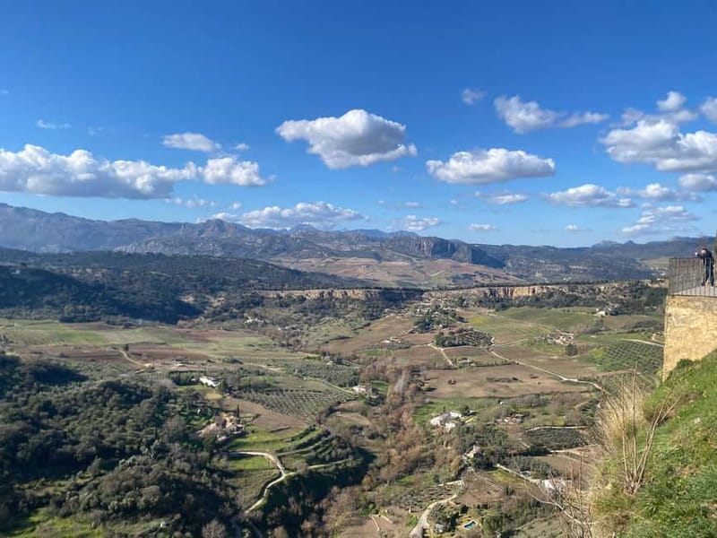 from Marbella, Estepona:Private tour Ronda incl. transfer,bullring,tapas - Inside the historic bullring