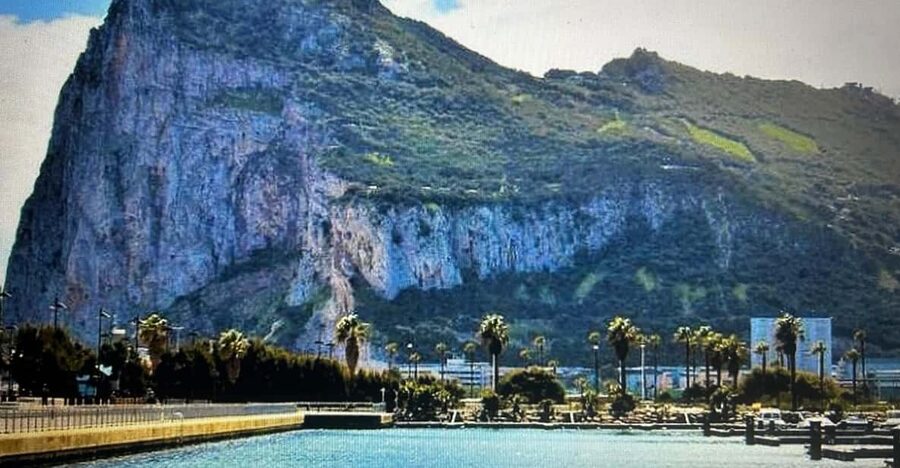 From Marbella/Estepona: VIP Gibraltar Tour Monkeys + Nature Reserve + Shopping - Add the Upper Rock Reserve for caves and history