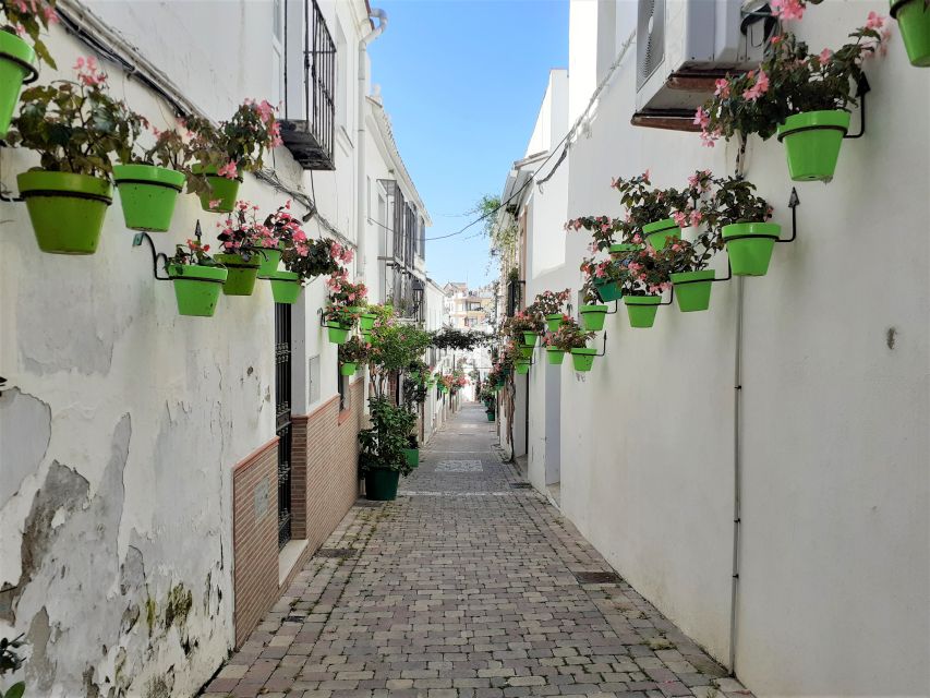 From Marbella: Guided Private Trip to Gibraltar and Estepona - Should you book this Gibraltar and Estepona trip?