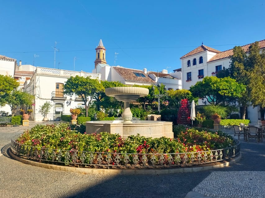 From Marbella: Guided Private Trip to Gibraltar and Estepona - Meeting Gibraltar’s macaques