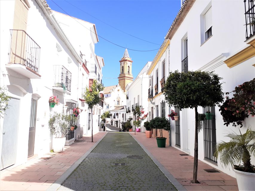 From Marbella: Guided Private Trip to Gibraltar and Estepona - Practical planning for the day