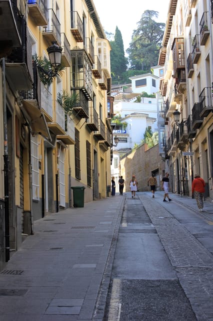 From Nerja/Almunecar: Granada Full-Day Trip - Pickup from Nerja and the Costa Tropical
