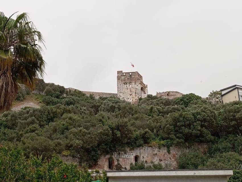 From Torremolinos: Day Trip to Gibraltar - Make a simple plan before you arrive
