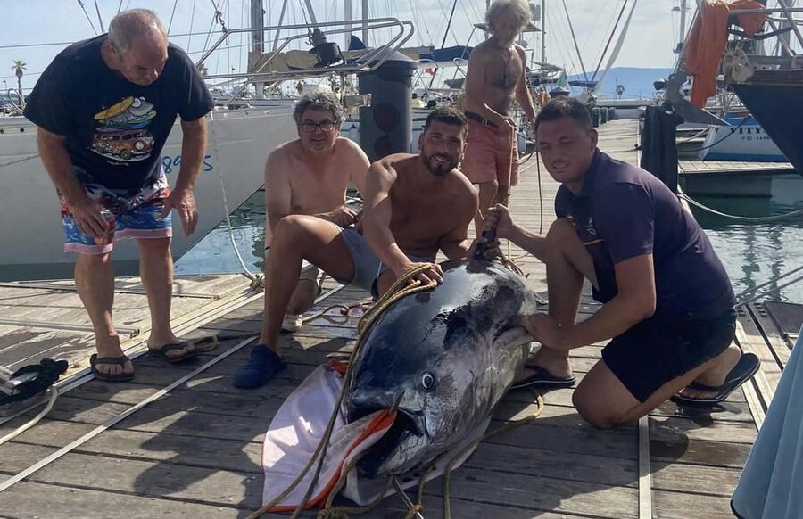 Fuengirola: 4h Trolling Fishing Trip with Snacks and Drinks - Fuengirola trolling trip at a glance