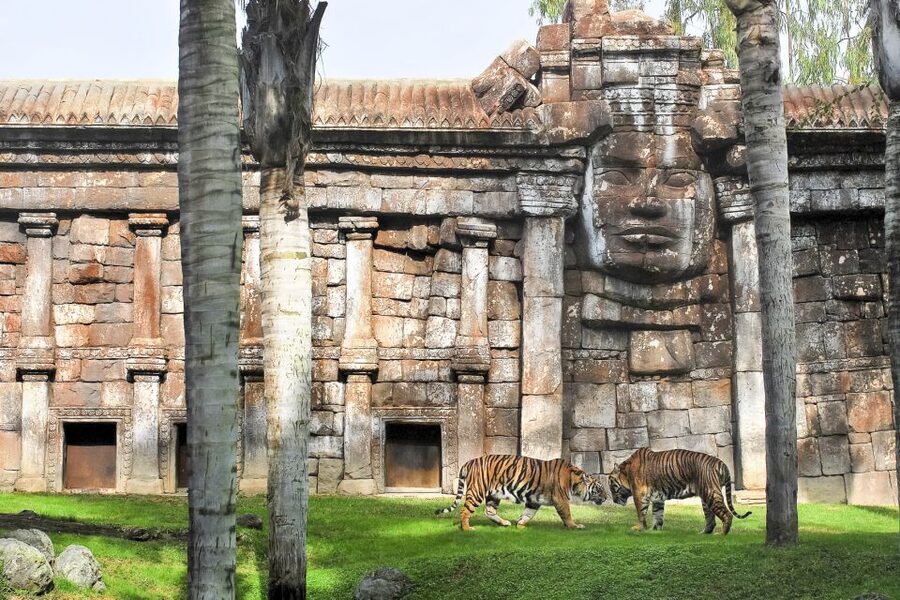 Fuengirola: Bioparc Entrance Ticket - Follow the route through four habitats