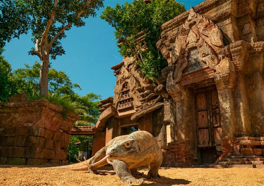 Fuengirola: Bioparc Entrance Ticket - Who will enjoy Bioparc Fuengirola most