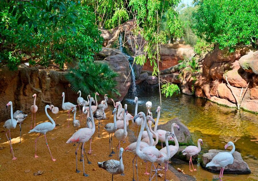 Fuengirola: Bioparc Entrance Ticket - Should you book the Bioparc Fuengirola ticket?