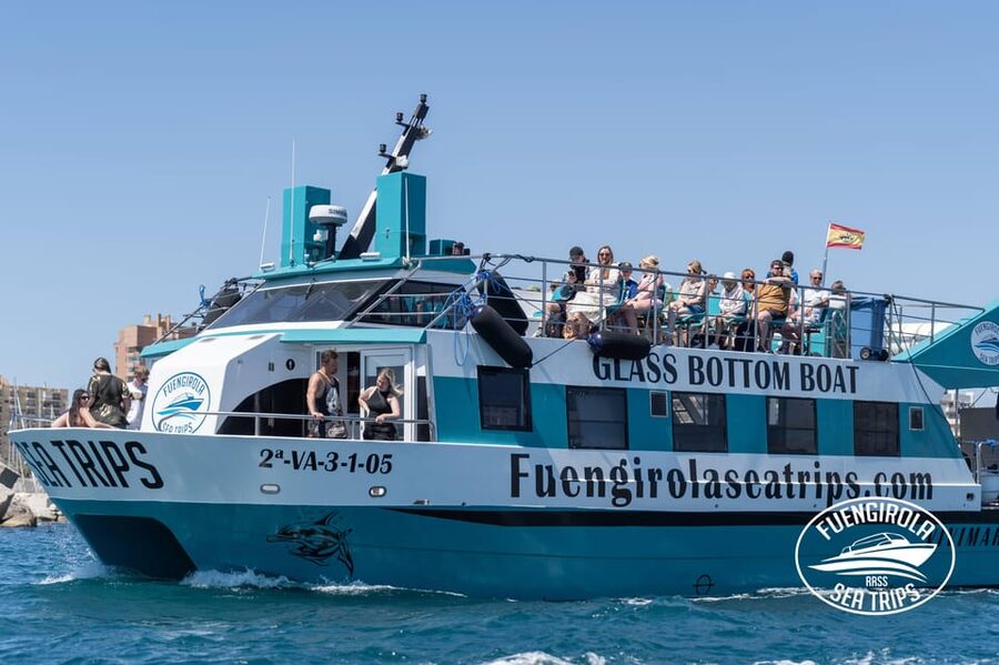 Fuengirola: Catamaran Tour to Spot Dolphins - The first stretch is a coastal boat ride