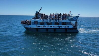 Fuengirola: Catamaran Tour to Spot Dolphins
