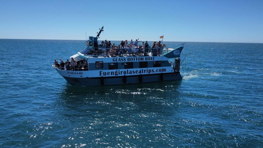 Fuengirola: Catamaran Tour to Spot Dolphins - Sea conditions and keeping comfortable