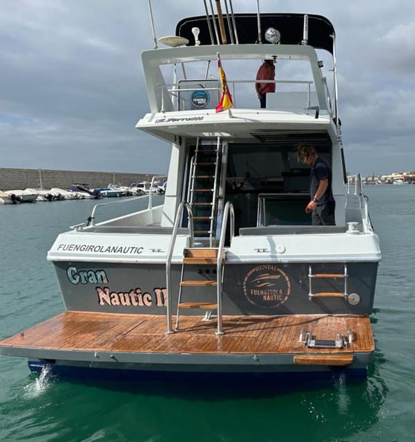 Fuengirola: Dolphin Spotting Tour - The crew and the feel on board