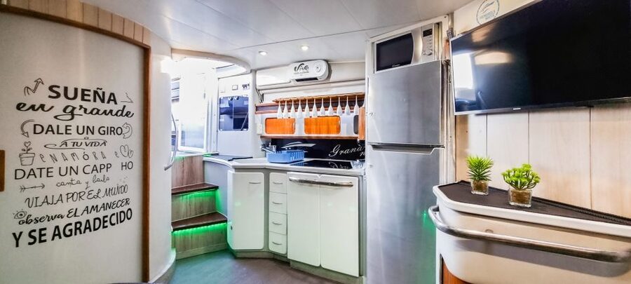 Fuengirola: Dolphin Watching by Yacht with Snacks and Drinks - Swimming from the yacht