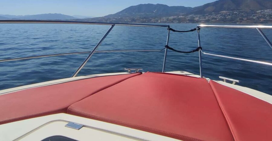 Fuengirola: Fantastic Dolphin Watching Yacht Tour with Drink - The essentials before you book