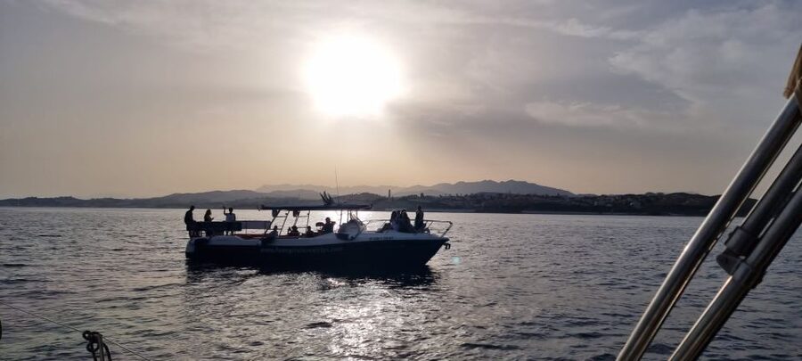 Fuengirola: Fantastic Dolphin Watching Yacht Tour with Drink - The coastline is part of the trip