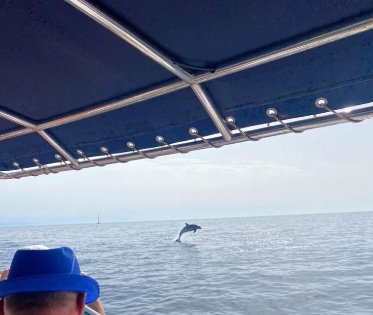 Fuengirola: Fantastic Dolphin Watching Yacht Tour with Drink - Drinks, seating, and what the price covers