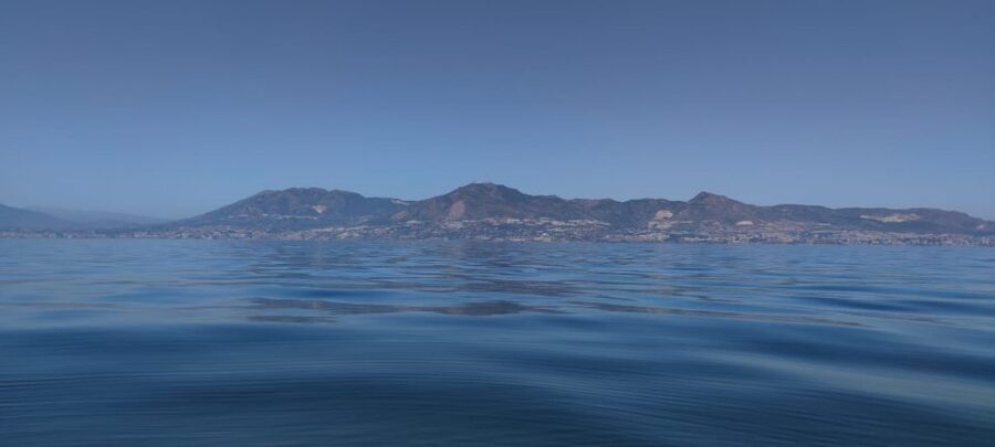 Fuengirola: Fantastic Dolphin Watching Yacht Tour with Drink - A few useful details for the day