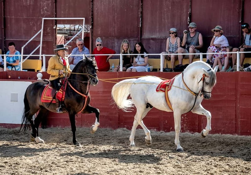Fuengirola: Spanish Horse Show with Optional Dinner/Flamenco - Is the full evening worth the price?