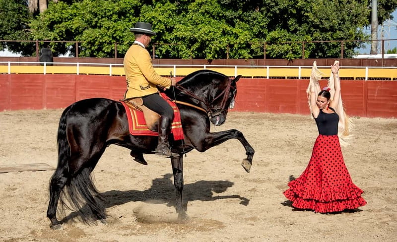 Fuengirola: Spanish Horse Show with Optional Dinner/Flamenco - A family horse farm, not just a show arena