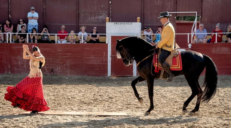 Fuengirola: Spanish Horse Show with Optional Dinner/Flamenco - Stable time, photos and a closer look at the horses