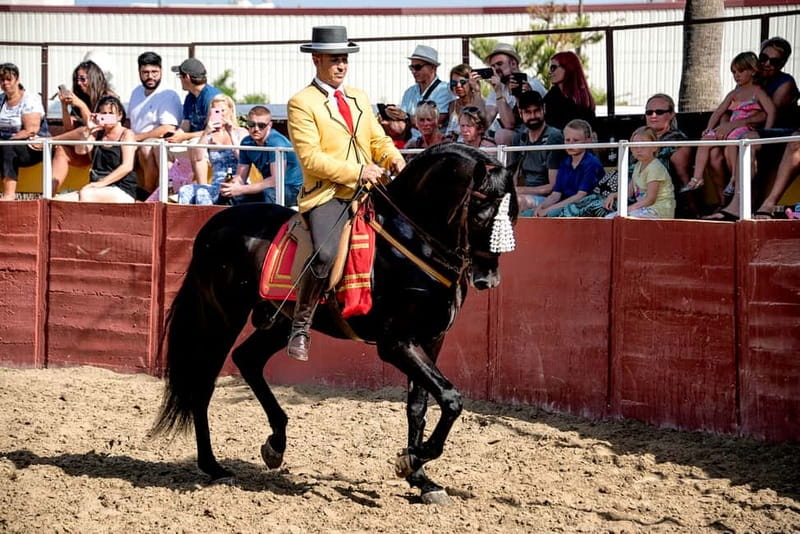 Fuengirola: Spanish Horse Show with Optional Dinner/Flamenco - Flamenco at 21:30: a lively finish