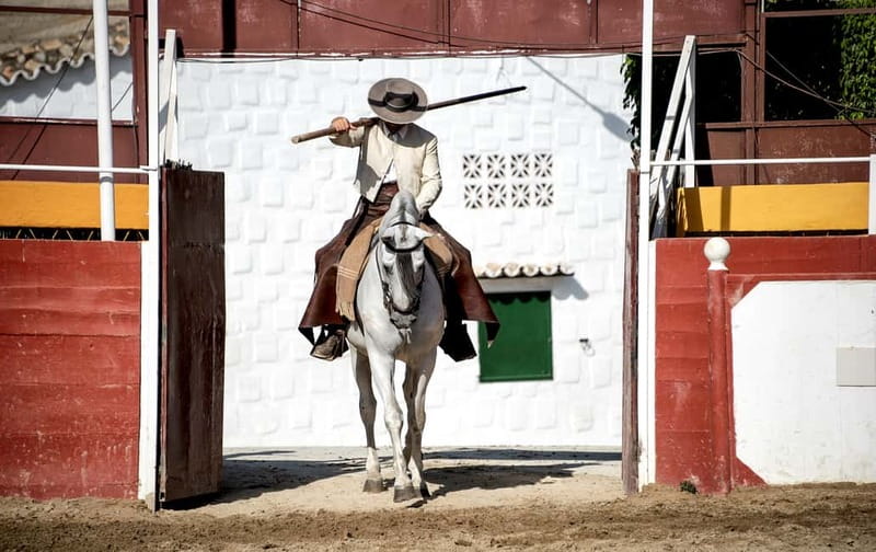 Fuengirola: Spanish Horse Show with Optional Dinner/Flamenco - The 18:00 horse show: dressage, dance and doma vaquera