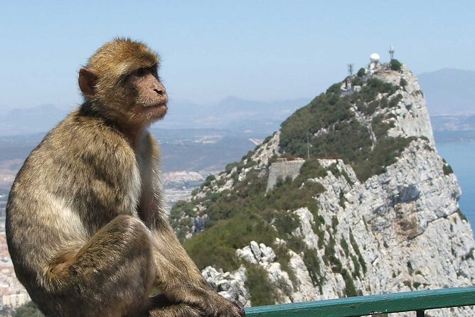Gibraltar with St Michael Caves Guided Tour from Costa del Sol - Europa Point and the Strait’s two landmarks