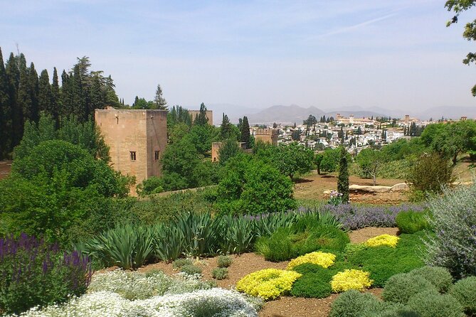 Granada Full Day Tour From Malaga - The price, the pace and the practical details