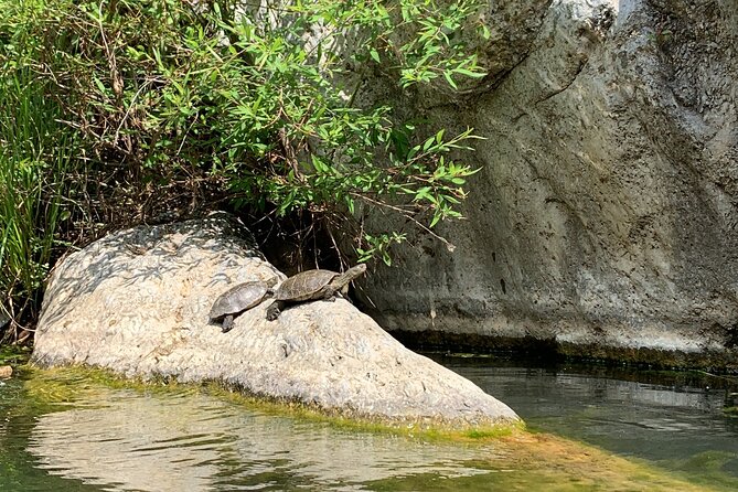 Guided Canyoning Adventure Near Marbella (Benahavís River Walk) - The meeting point near Benahavís