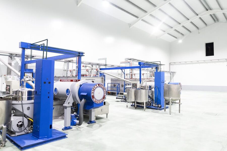 Guided tour and oil tasting at the Aceites Molisur factory - From the shop to the olive grove