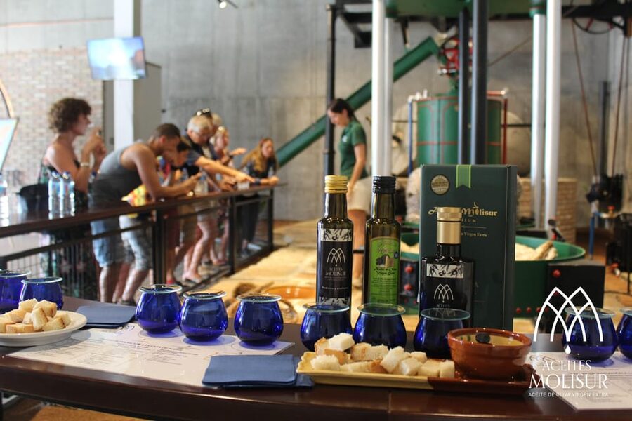 Guided tour and oil tasting at the Aceites Molisur factory - The old mill and the story of changing methods