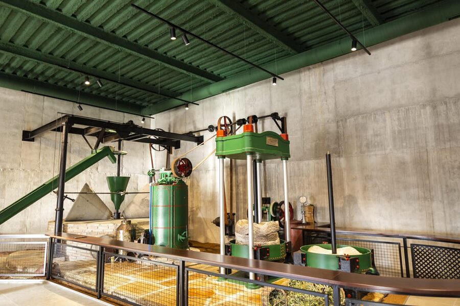 Guided tour and oil tasting at the Aceites Molisur factory - Practical details before you go