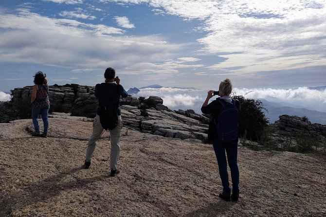 Guided tour of the Dolmens and El Torcal - Who should book this tour