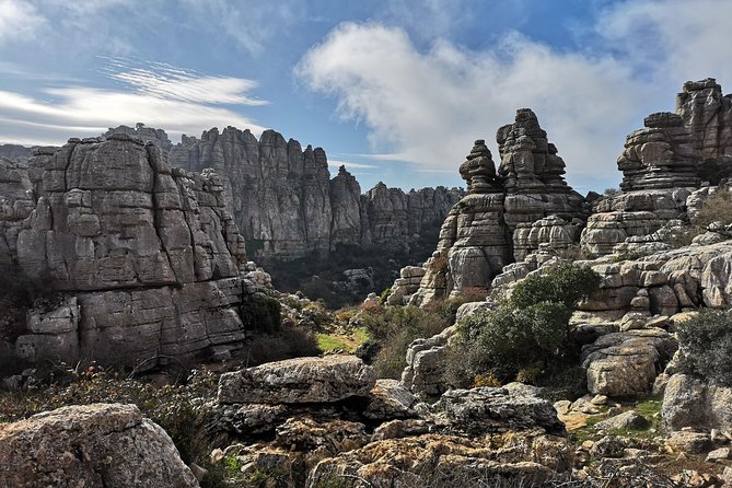 Guided tour of the Dolmens and El Torcal - FAQ
