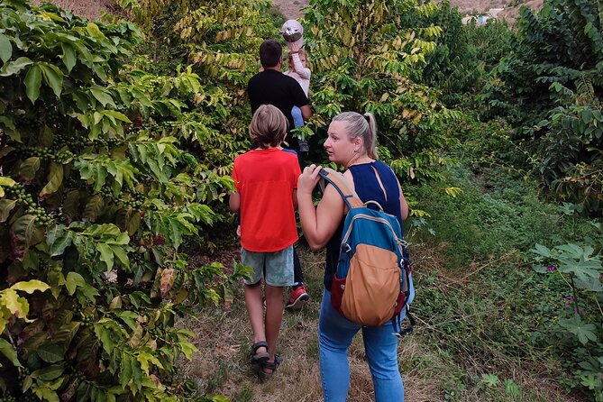 Guided Tour to the only coffee farm in Europe - Who will enjoy this farm walk