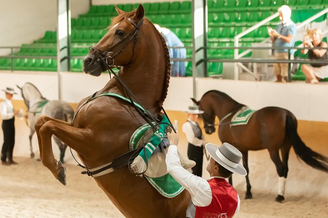Horse and Flamenco Show in Malaga - A riding ballet, led by José Carlos González Guerrero
