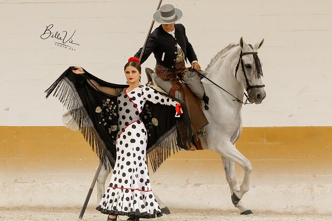 Horse and Flamenco Show in Malaga - Visit the stables before the show
