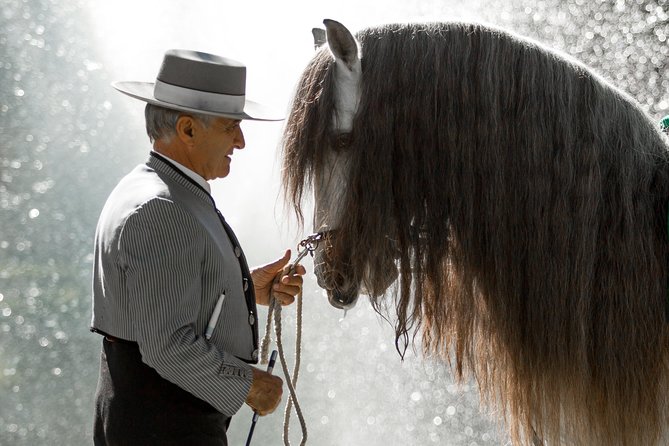 Horse and Flamenco Show in Malaga - Is $41.03 good value?