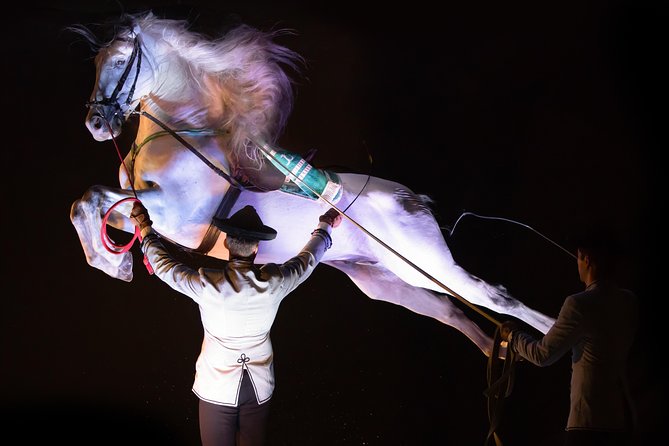 Horse and Flamenco Show in Malaga - Who is likely to enjoy this show?
