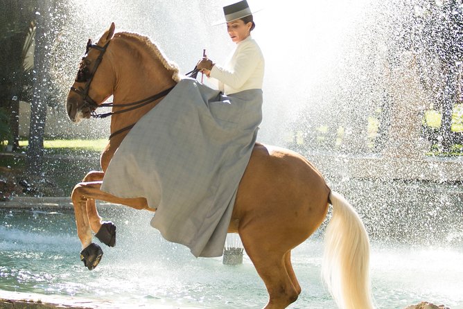 Horse and Flamenco Show in Malaga - Should you book the Horse and Flamenco Show?