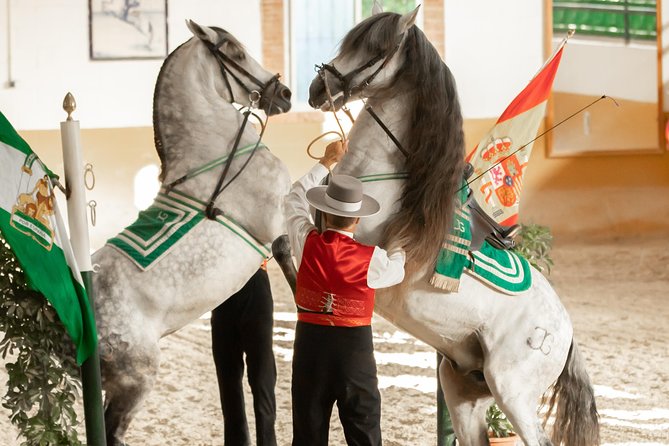 Horse and Flamenco Show in Malaga - What to expect during the 90-minute performance