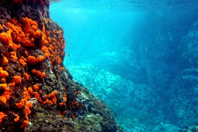 Kayak & Snorkel Tour in Cerro Gordo Natural Park, La Herradura - A briefing, a double kayak and a manageable challenge