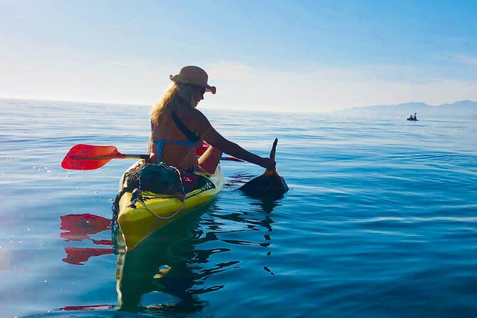 Kayak & Snorkel Tour in Cerro Gordo Natural Park, La Herradura - Guides, safety and gear that is ready to use