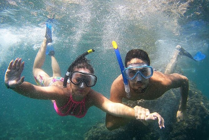 Kayak & Snorkel Tour in Cerro Gordo Natural Park, La Herradura - Meeting point and useful planning notes