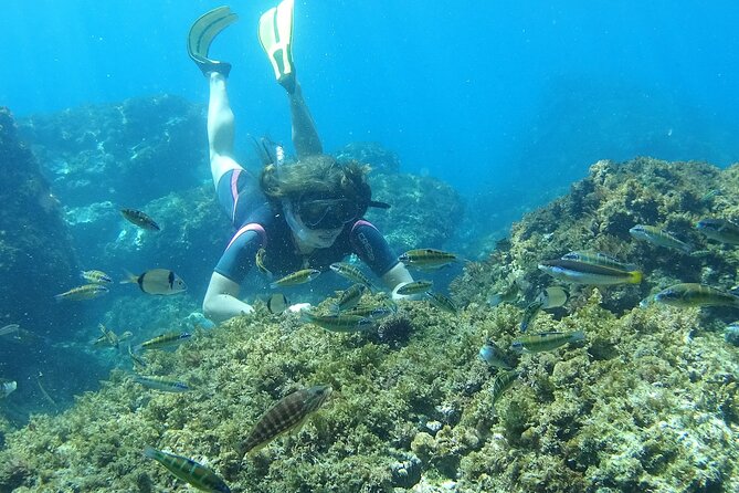 Kayak & Snorkel Tour in Cerro Gordo Natural Park, La Herradura - Who will enjoy this paddle?