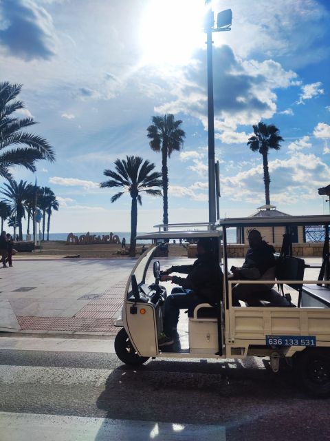 Málaga 1-hour by TukTuki: Essential and Private Tour - Comfort, access and a few practical details