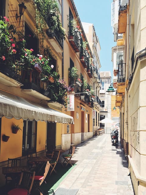 Málaga: 3-Hour Complete Walking Tour with Tickets - The guide, the group and the practical details